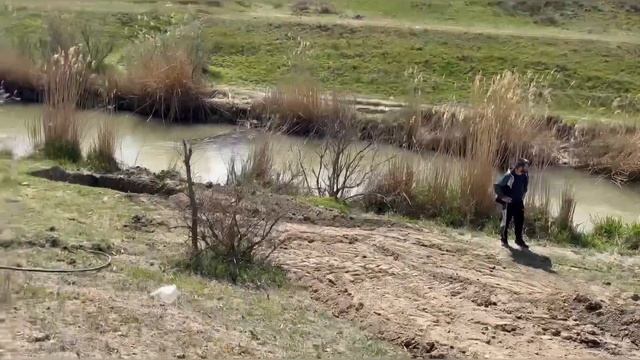 Разведение осетра бестера белуги стерляди смотреть онлайн