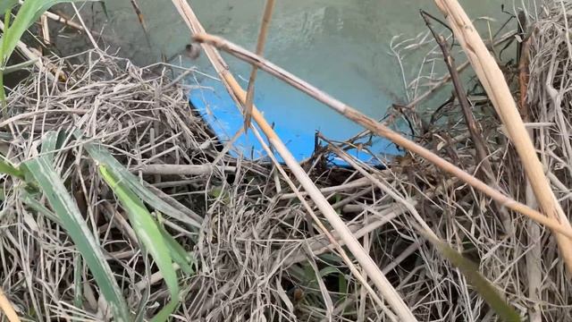 Удивительно но нашли смотреть онлайн