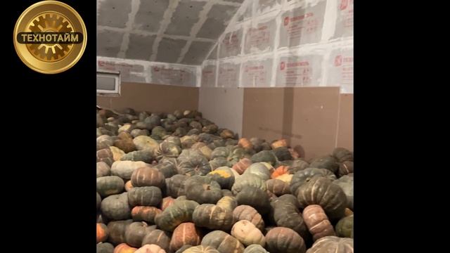 Тыква на хранении Как хранить тыкву смотреть онлайн