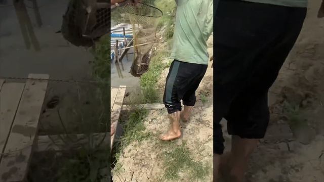 Бестер на держинке смотреть онлайн