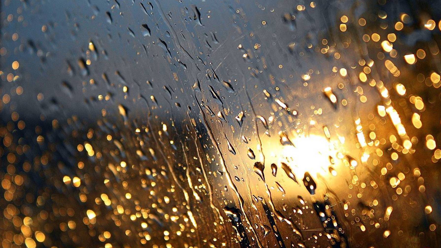 Пσɠ ɠσѫɠεϻ смотреть онлайн