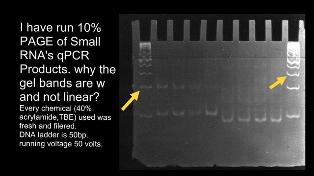 What causes wavy bands? смотреть онлайн
