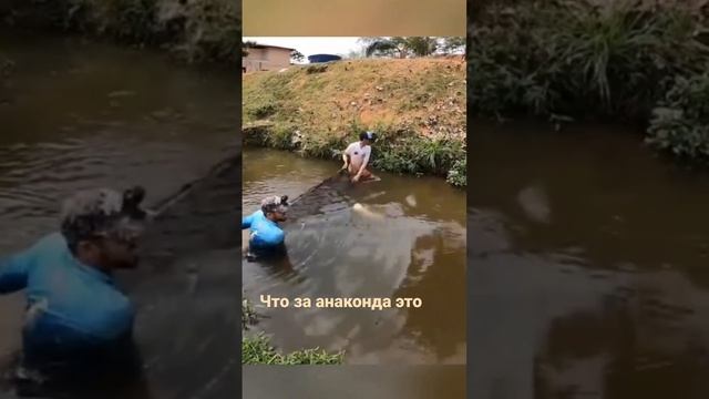 Рыба рыбыще смотреть онлайн