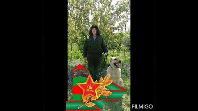 День пограничника смотреть онлайн