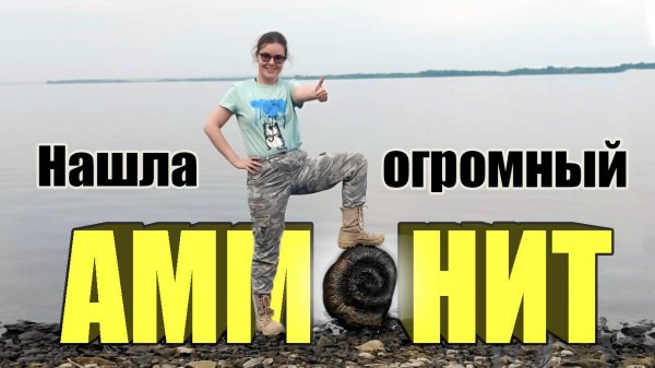 Нашла ОГРОМНЫЙ АММОНИТ | Очень МНОГО окаменелостей | Аммониты С ПЕРЛАМУТРОМ