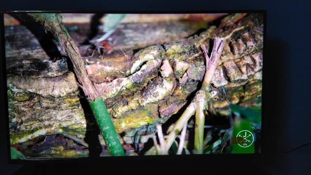 Redmi Smart TV X50 India's No.1 смотреть онлайн