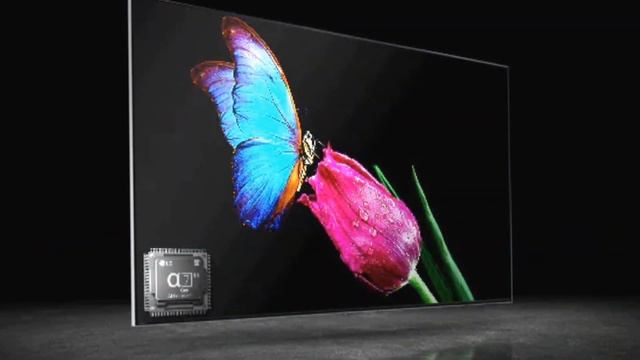 مراجعة LG 55 QNED80 | شاشة روعة من الجي ولكن ....!!