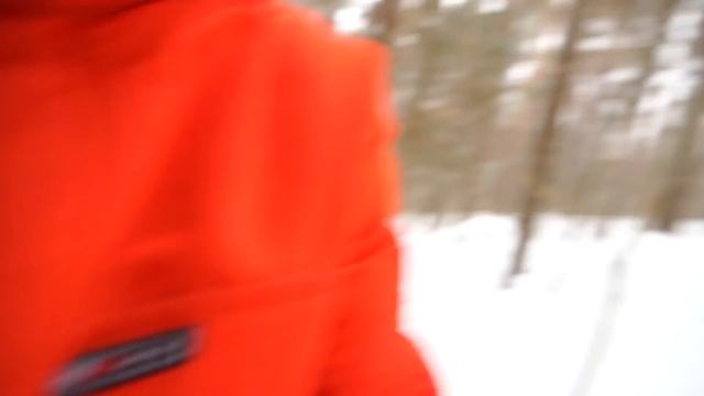 24 часа в жутком лесу, где живет убийца! смотреть онлайн