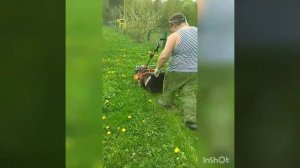 Бензиновая газонокосилка DAEWOO DLM 5100SR  Спустя 2года. Весна 2020