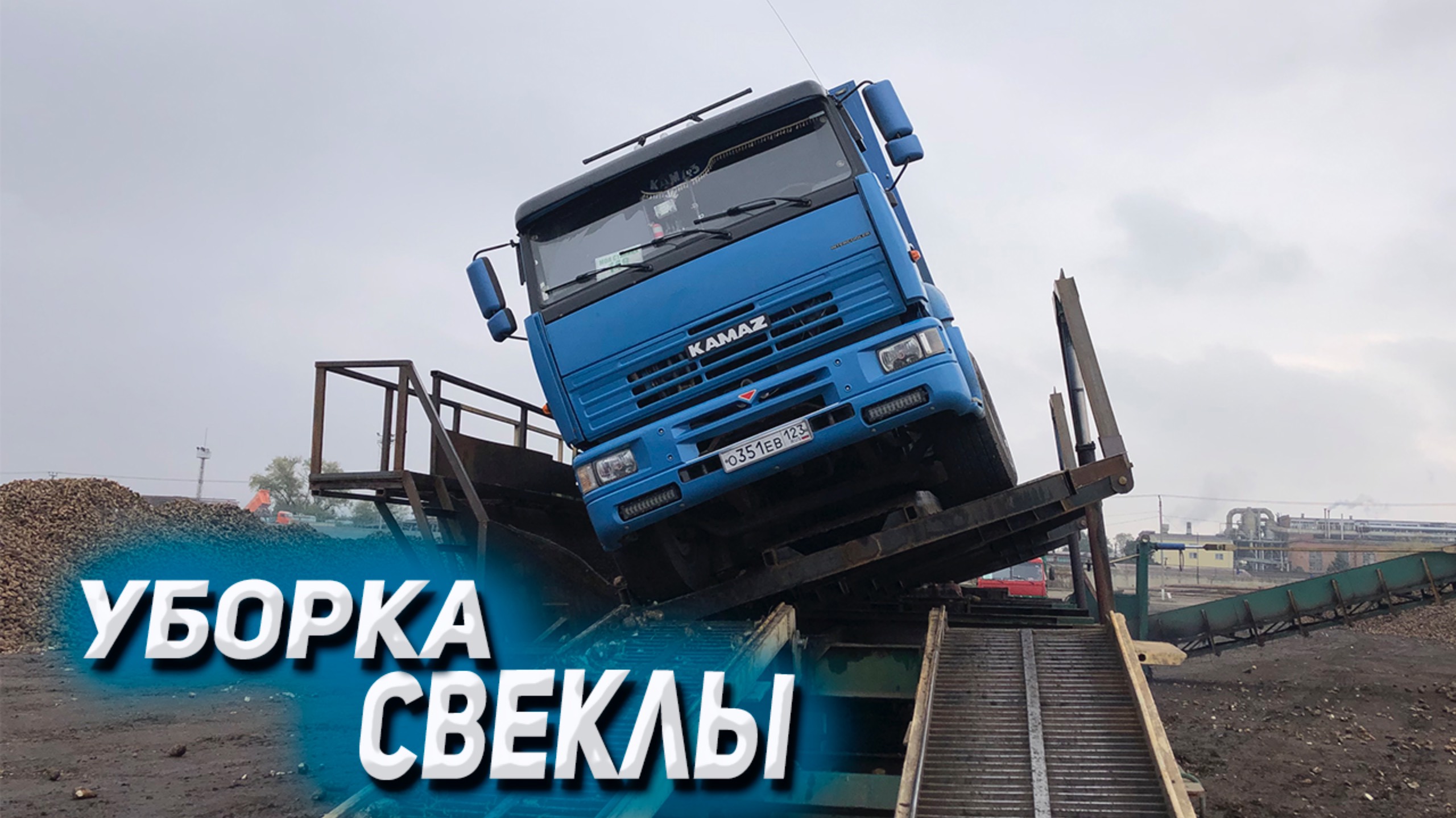 На КАМАЗЕ в дождь убираем свеклу