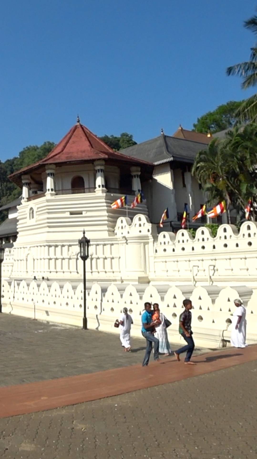 Атмосфера в комплексе Зуба Будды- главной достопримечательности Шри-Ланки смотреть онлайн