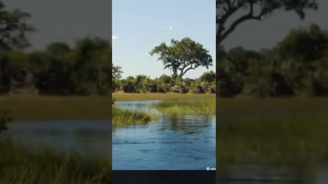 Галиаф смотреть онлайн