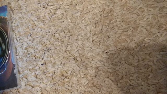 обзор на приставку для телевизора смотреть онлайн