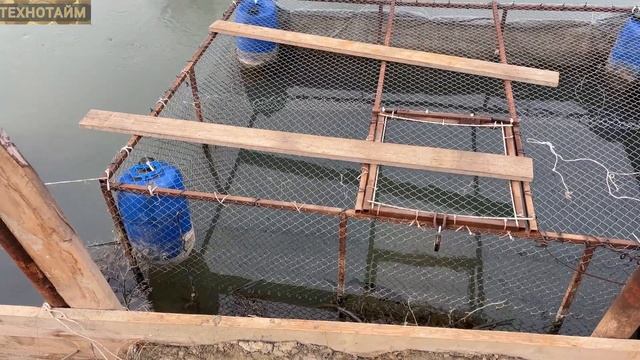 Бестер весной. Зимовка прошла удачно смотреть онлайн