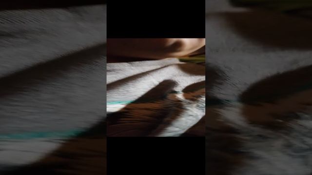 VID_20241102_142613.mp4 смотреть онлайн