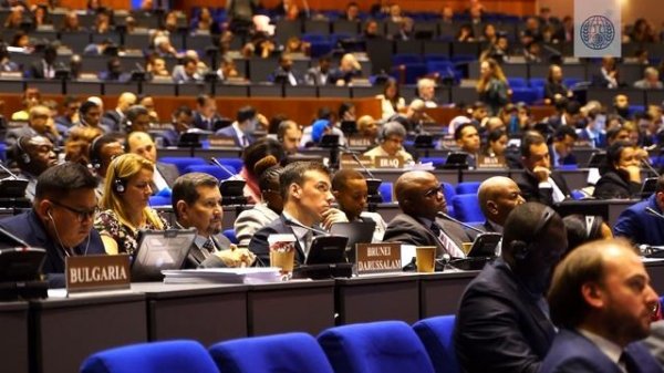 How does the OPCW prevent the re-emergence of chemical weapons?