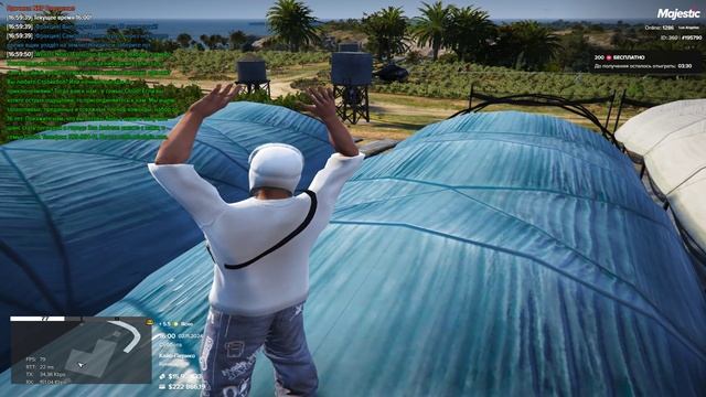 мой 195790 нарушитель 246684  02.11.24 16;01