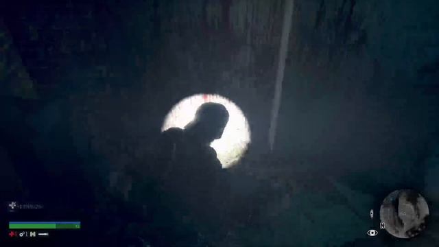 Days Gone deluxe edition(Ps4 Pro) смотреть онлайн