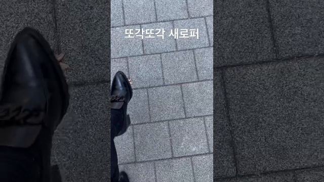종일 걷고싶을 만큼 기분좋은 소리 또각또각 발도 편하고 간만에 기분좋은 신발쇼핑 #칼라거펠트 #로퍼 смотреть онлайн