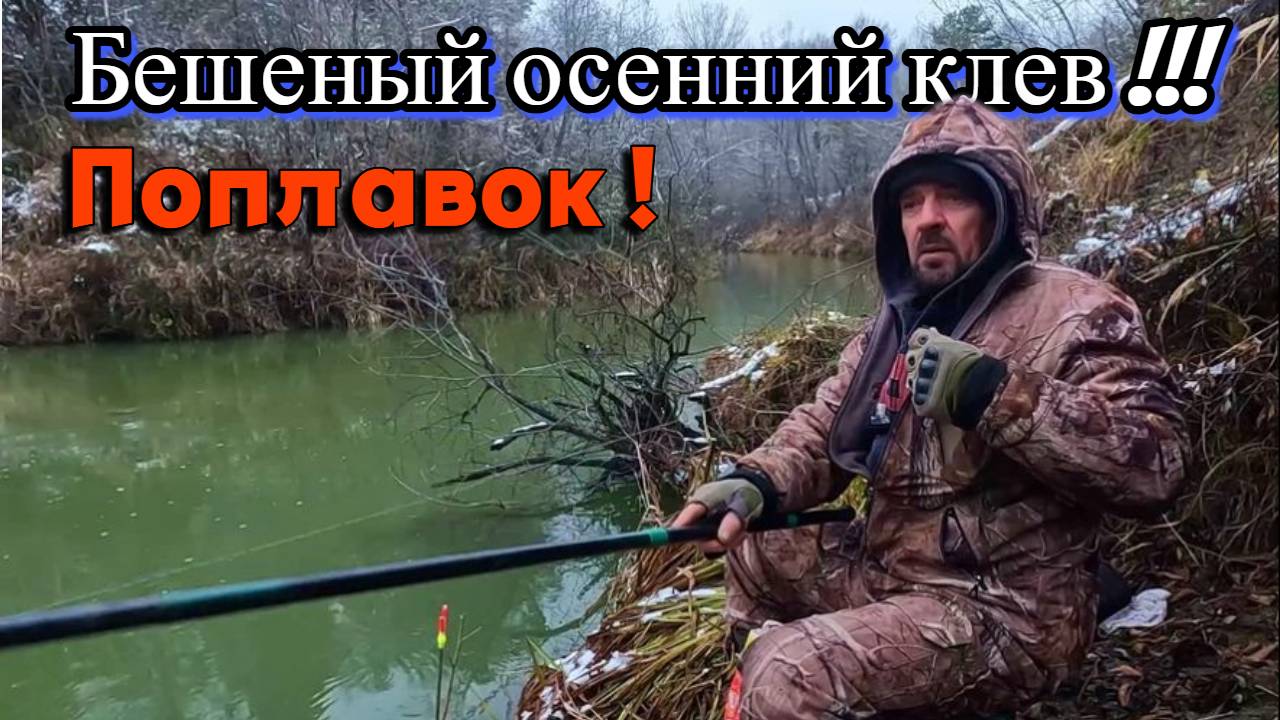 ОСЕННЯЯ РЫБАЛКА НА ПОПЛАВОК !!! Бешеный клев плотвы 1 ноября 2024г. Сузун ! смотреть онлайн