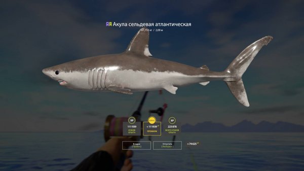 Русская Рыбалка 4 [PC 2018] 🐟 Сельдевая Акула, обновил свой рекорд