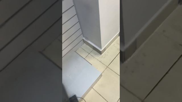 Телевизор тошиба смотреть онлайн