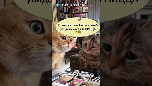 СДВГ #мыкотики #вмем #разговор #анекдот #шутки #кот #юмор #смешное #прикольно #мемы #cat смотреть онлайн