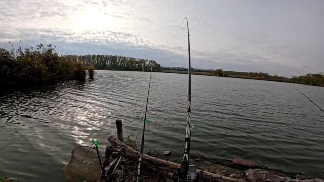 Рыбалка на сазана и карпа на флэт. 01.11.24. смотреть онлайн