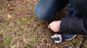 Отправились в жуткий поход! Чтобы узнать, что внутри гранаты для выживания!