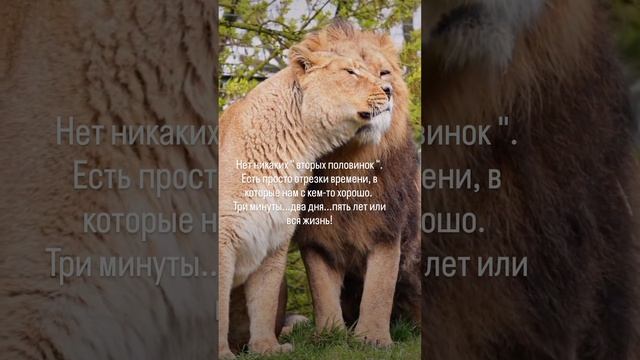 Правда смотреть онлайн