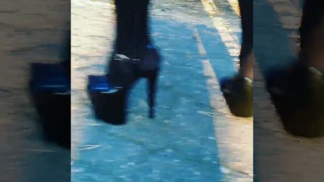 Walking Lady L . смотреть онлайн