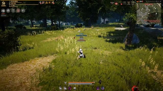 Absolute Skills in BDO: The Basics смотреть онлайн