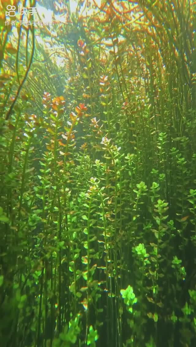 Это фантастически красиво