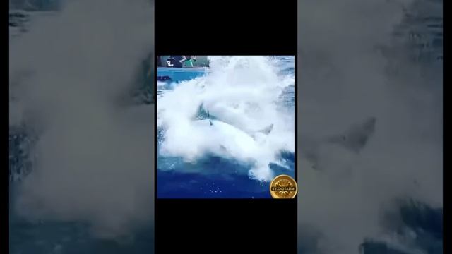 Марлен смотреть онлайн