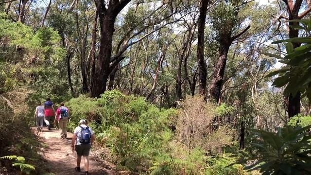 Wilsons Promontory - Go West Tours - Day Tour from Melbourne смотреть онлайн