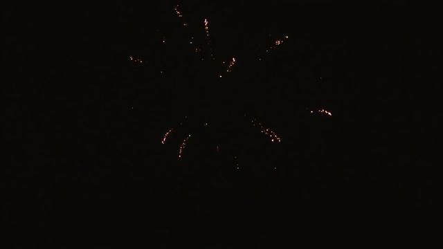 С007 ОГНЕННЫЙ ЦВЕТОК (49 залпов, 0.8