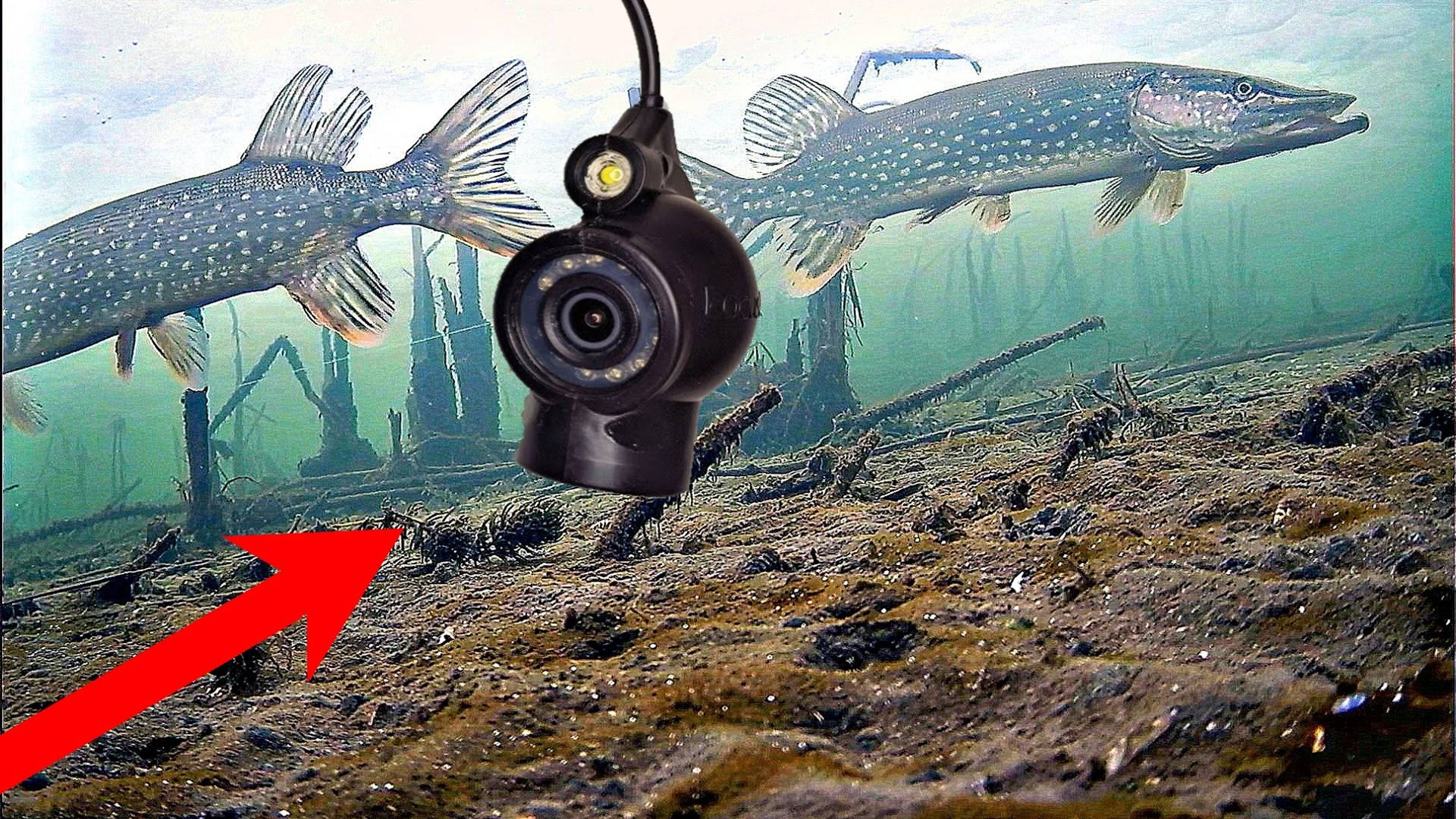 Лучшая подводная камера для рыбалки! Подводная съемка смотреть онлайн