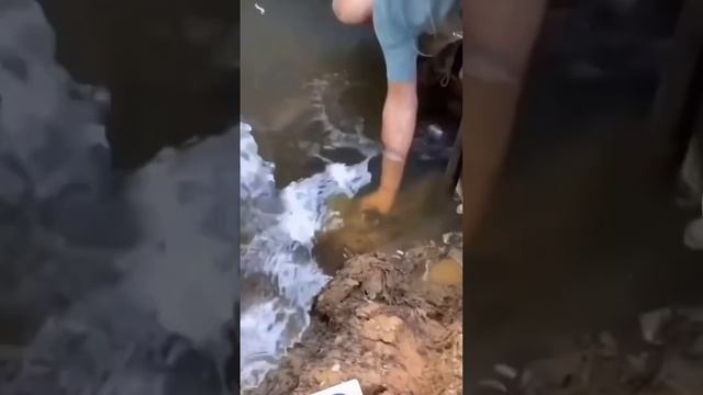 Оказалось не рыбка смотреть онлайн