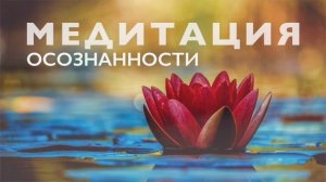 Утренняя медитация осознанности | Практика майндфулнесс для начала дня