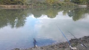 Варнавинский сбросной канал, рыбалка 28.10.24 г.