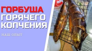 ГОРБУША ГОРЯЧЕГО КОПЧЕНИЯ в коптильне как засолить и сколько коптить