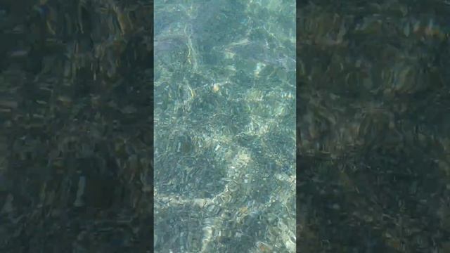 Обзор пляжа и моря#Отель Sunshine Hotel 4****#Турция#Аланья#Махмутлар