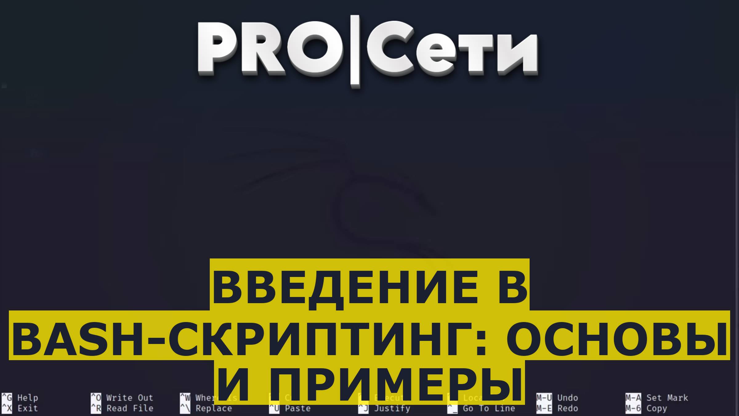 Введение в Bash-скриптинг: Основы и Примеры смотреть онлайн