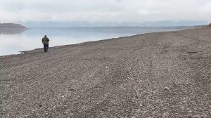 Охота на гуся