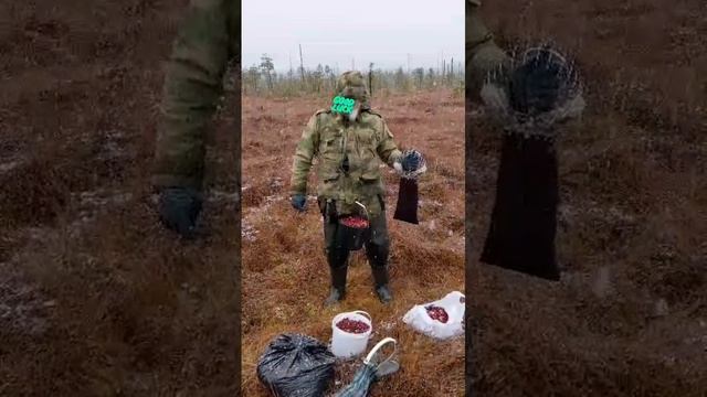 VID-20241102-WA0000_1