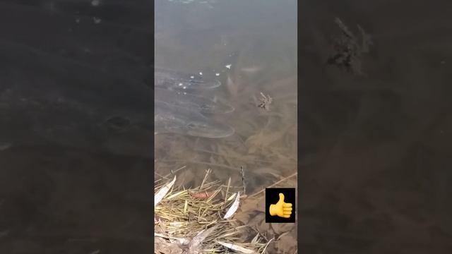 На рыбалке смотреть онлайн