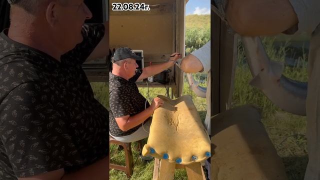 Первая бонитировка смотреть онлайн