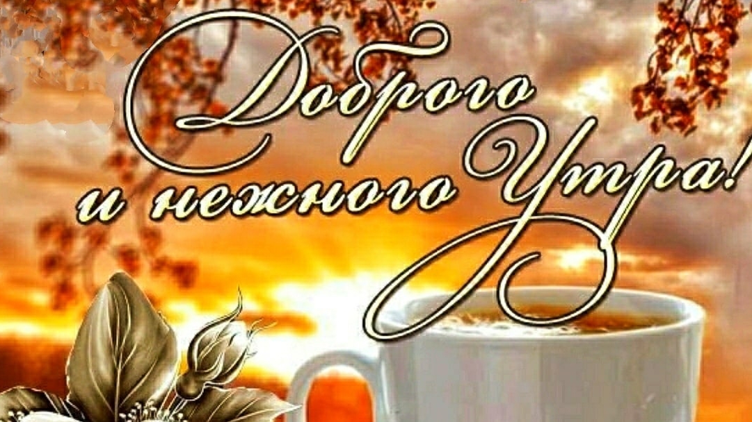 С добрым ноябрьским утром! смотреть онлайн