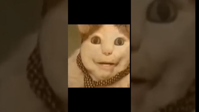 бу! испугался? не бойся. смотреть онлайн