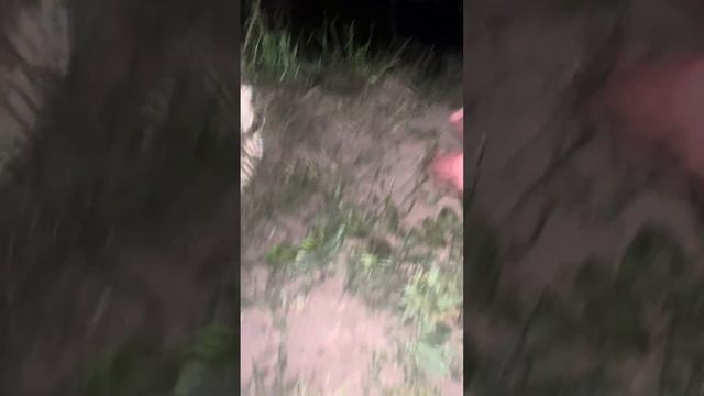 Бестер на течении средний размер смотреть онлайн